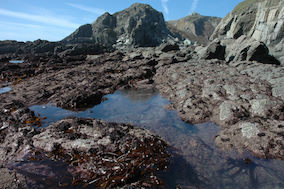Intertidal reefs at Devil’s Kitchen, the most biodiverse shore on Lundy © Keith Hiscock