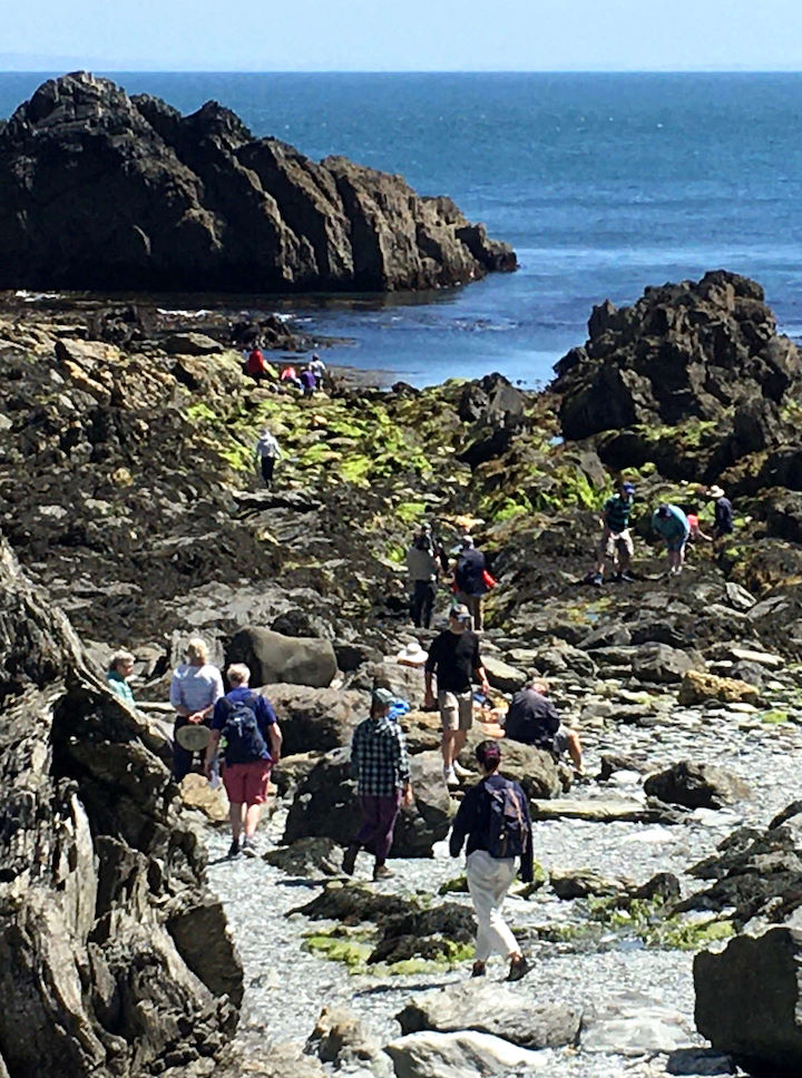 Foray onto Devil’s Kitchen shore by Bioblitzers as soon as they’d disembarked off the Oldenburg! © Robert Irving