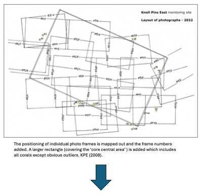 3.9.2.4L Process of identifying Lp corals 3 crp
